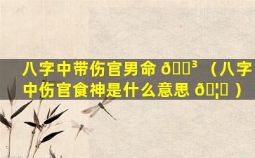 八字中带伤官男命 🌳 （八字中伤官食神是什么意思 🦋 ）